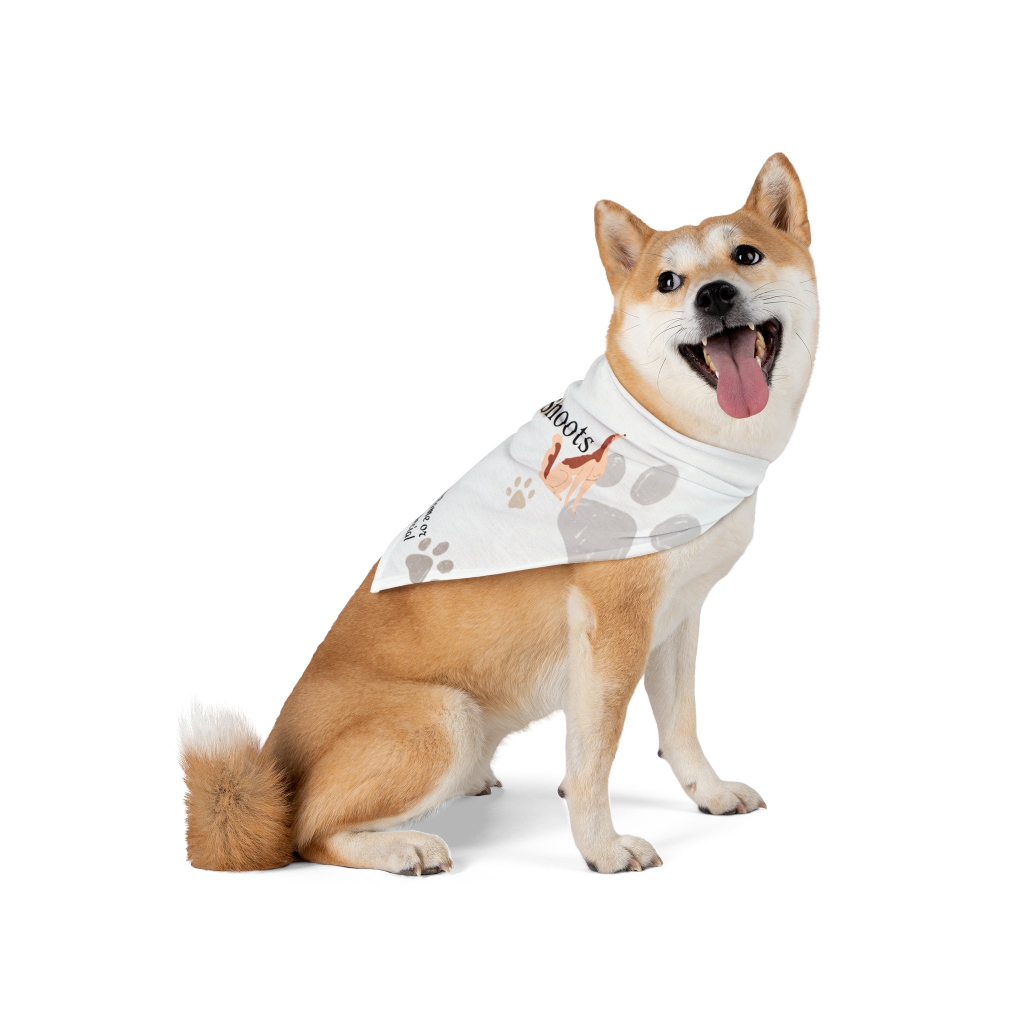 Paws & Snoots Personalized Pet Bandana — Pawprint Scarf for Dogs & Cats